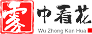 南京雾中看花科技有限公司